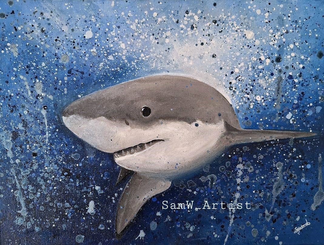 Shark2.jpg