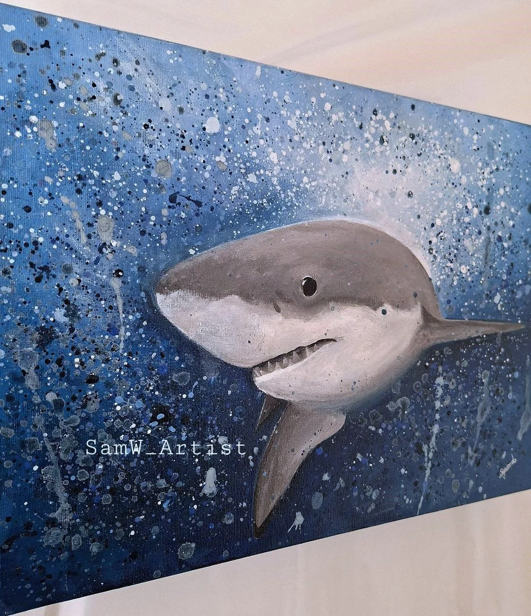 Shark3.jpg