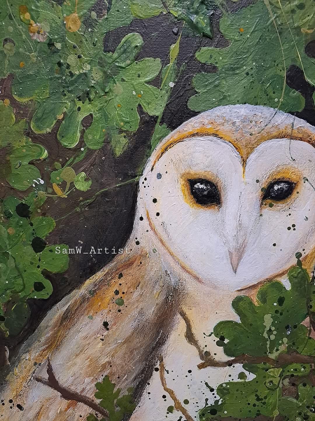 Barn owl3.jpeg