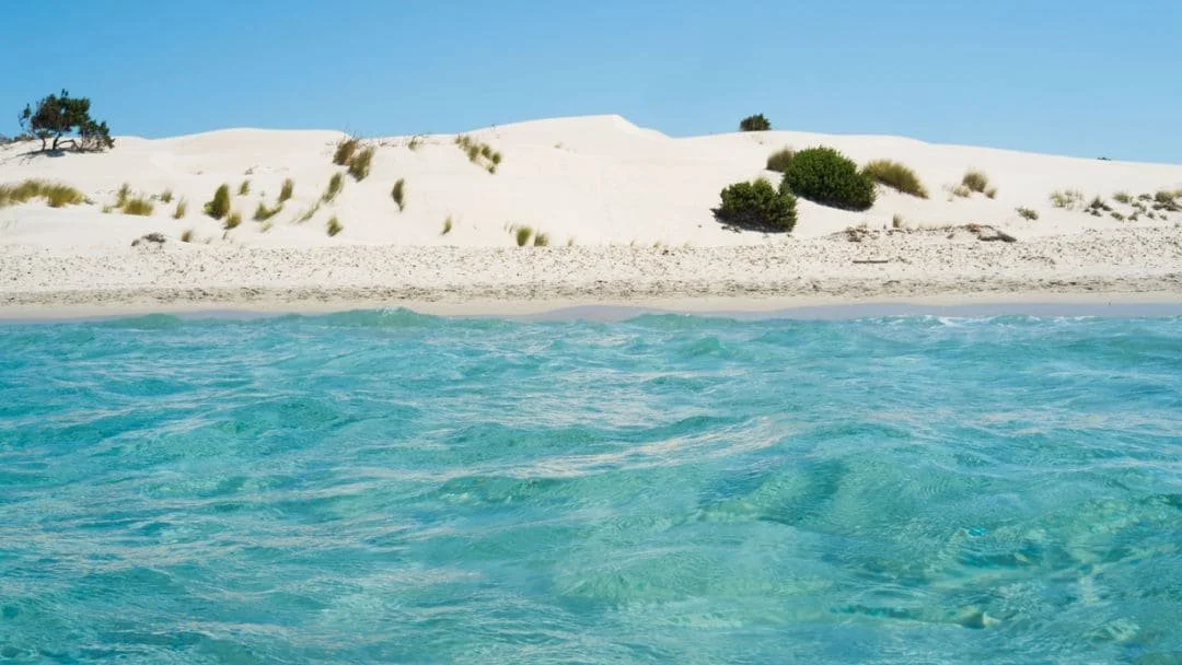porto pino dunes.jpg