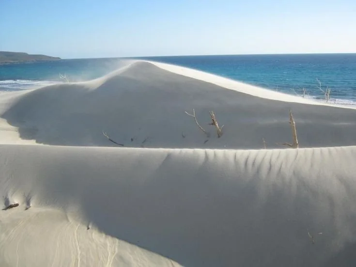 Porto Pino