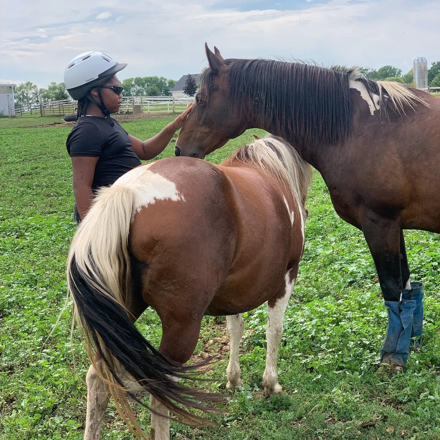 Person in a helmet petting two horses in a grassy field.