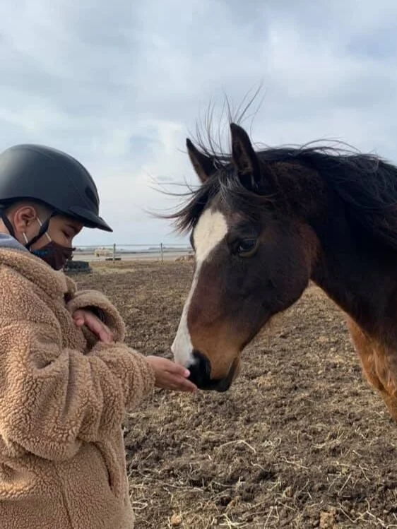 Person in helmet and mask feeding a brown horse in a field