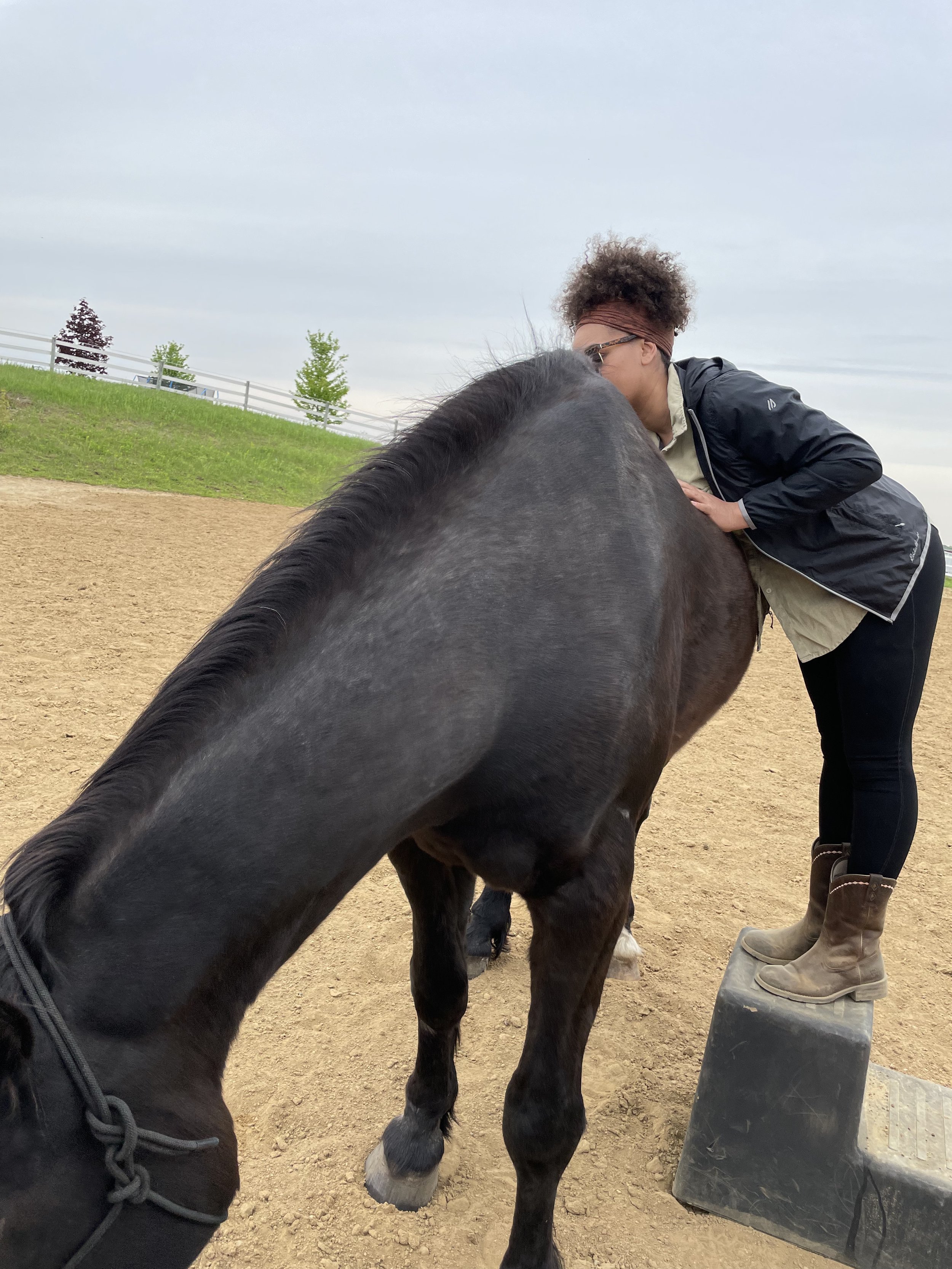 Person standing on a small platform, interacting closely with a large black horse in an outdoor area with a dirt surface and trees in the background.