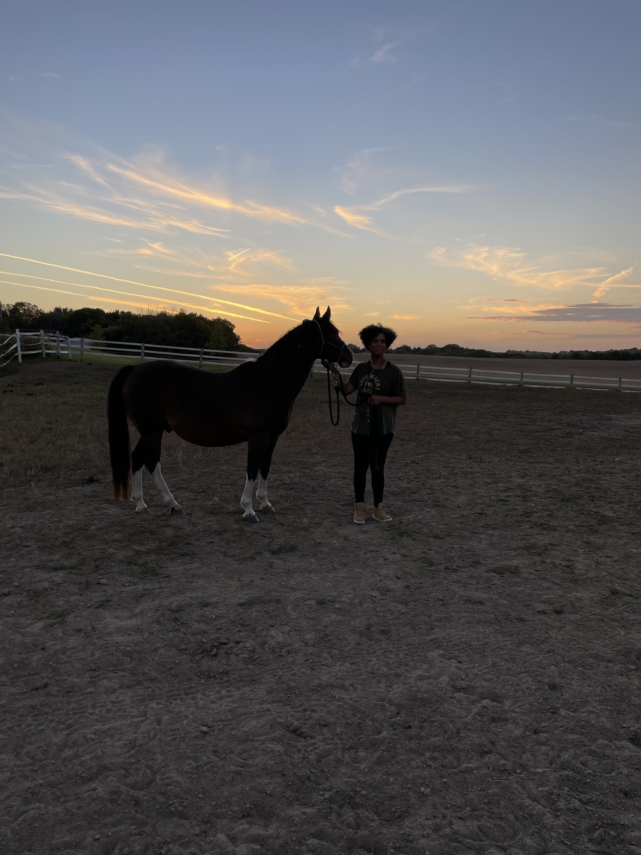 Person standing with a horse at sunset in an open field with a wooden fence in the background.