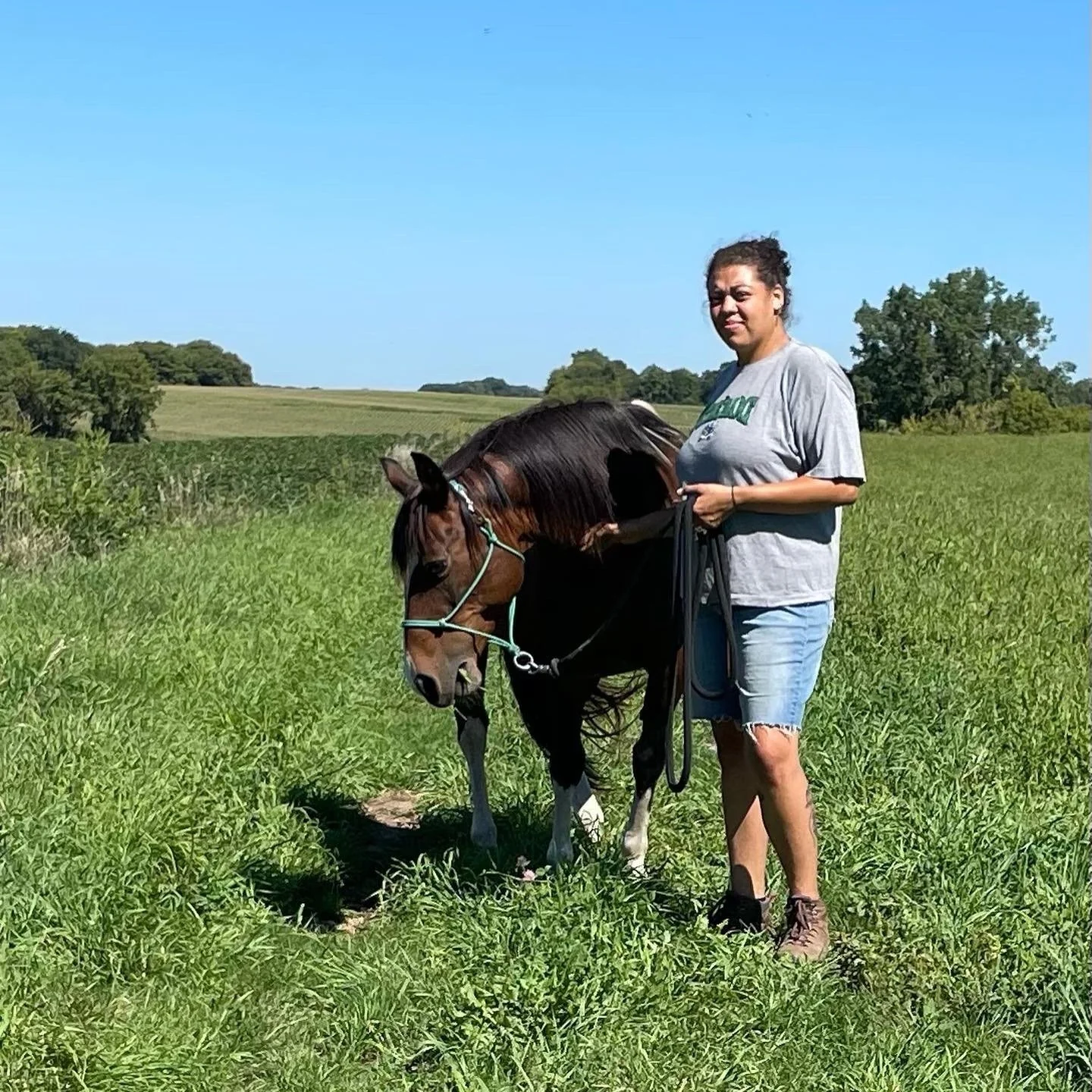 A person standing in a grassy field next to a brown horse with a blue halter. The person is wearing a gray t-shirt, jean shorts, and holding the horse's reins. The sky is clear and blue, with trees in the background.