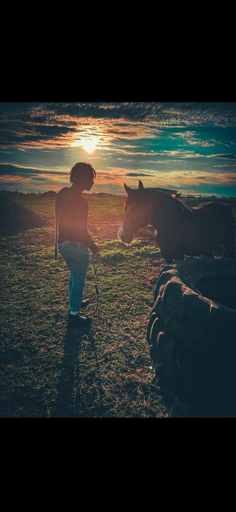 Silhouette of a person with a horse at sunset in a field.