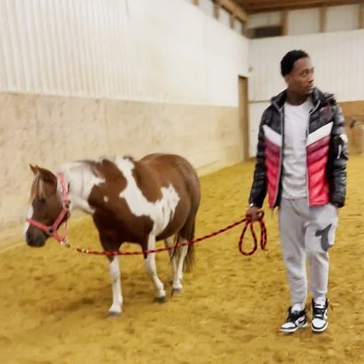 Person holding a small horse on a lead in an indoor arena.