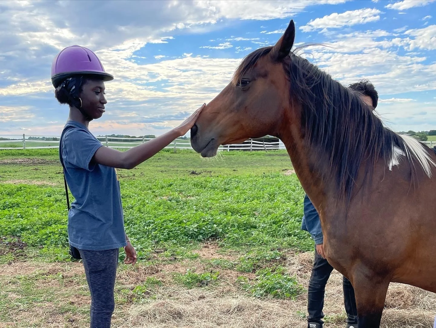 Person in a helmet petting a brown horse standing in an open field.