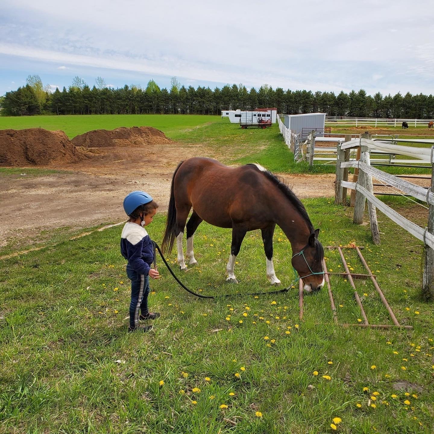 A child wearing a blue helmet stands next to a brown and white horse grazing in a grassy paddock. The scene includes a wooden fence, dirt piles, and a trailer in the background under a cloudy sky.