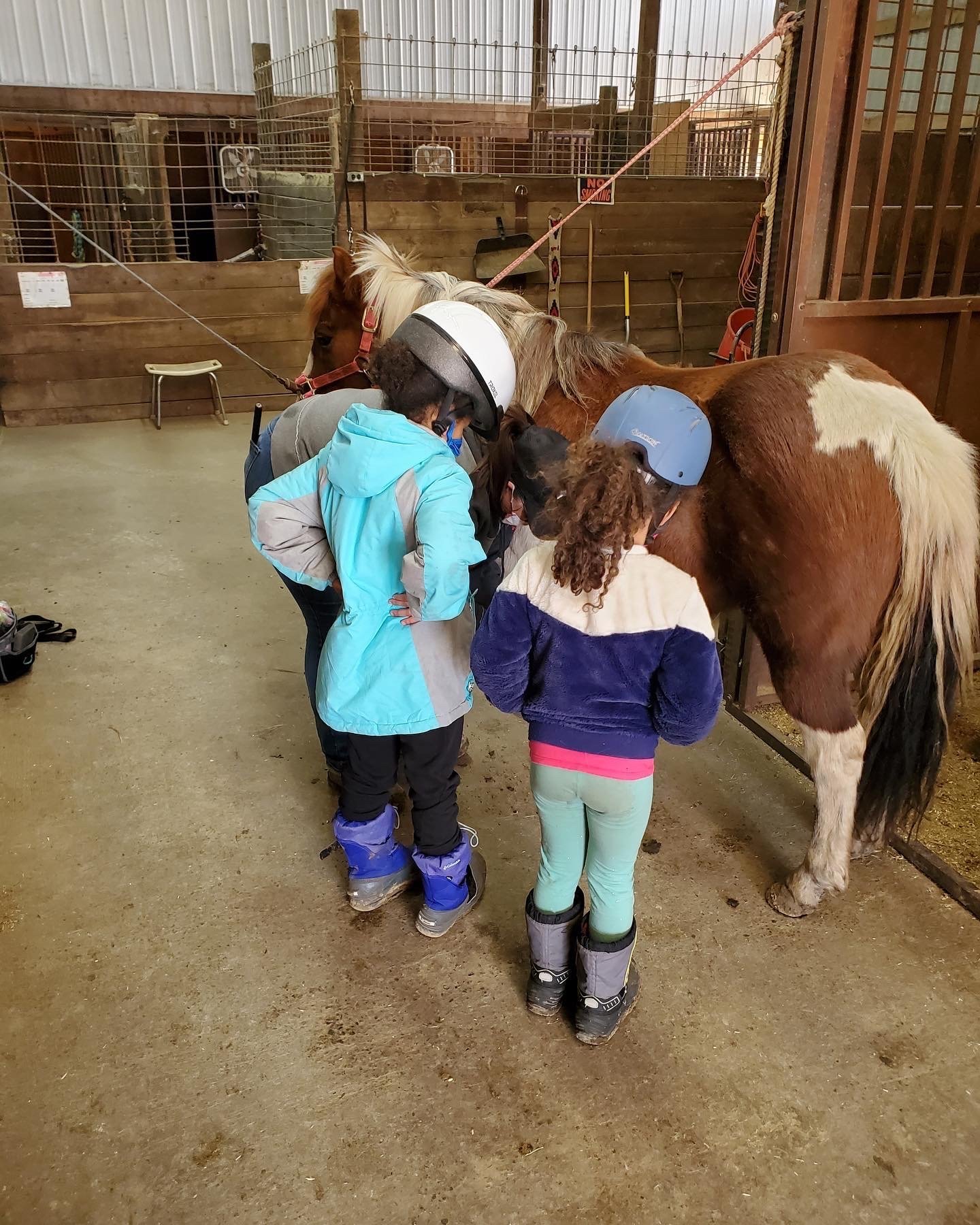 Children wearing helmets standing with a horse in a stable