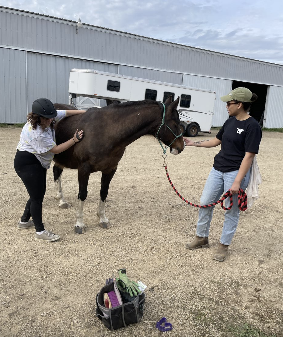 Two individuals grooming a horse in a stable area, with a trailer in the background and a grooming kit on the ground.