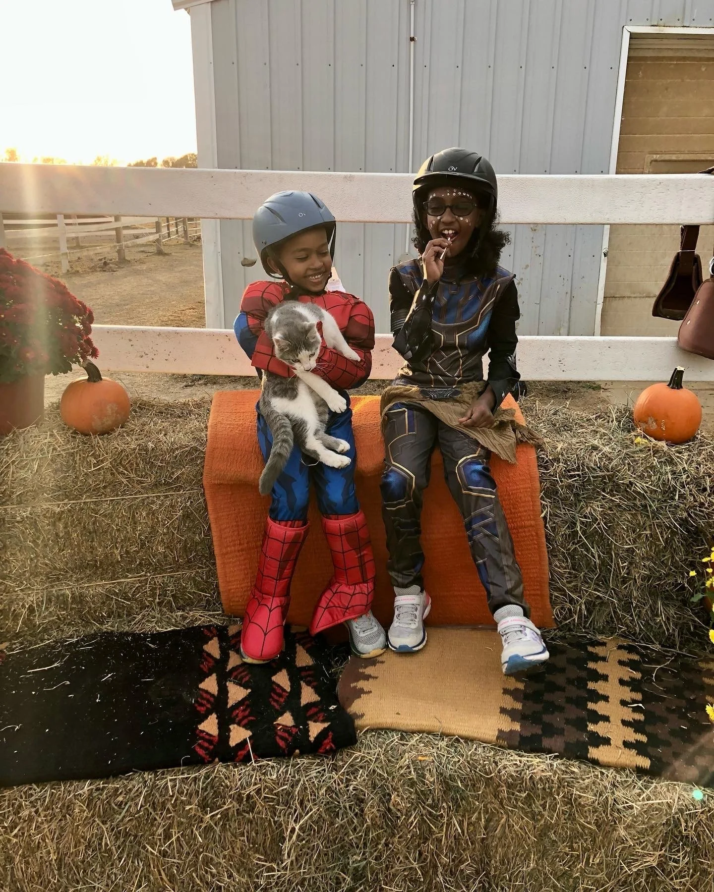 Two children wearing superhero costumes and helmets are sitting on hay bales. One child is dressed as Spider-Man holding a grey and white cat, while the other child is in another superhero costume. They are outdoors near a barn, with pumpkins and flo