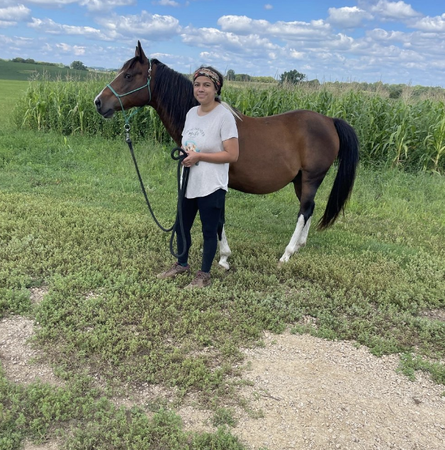 Person standing with a brown and white horse in a grassy field with corn plants in the background.