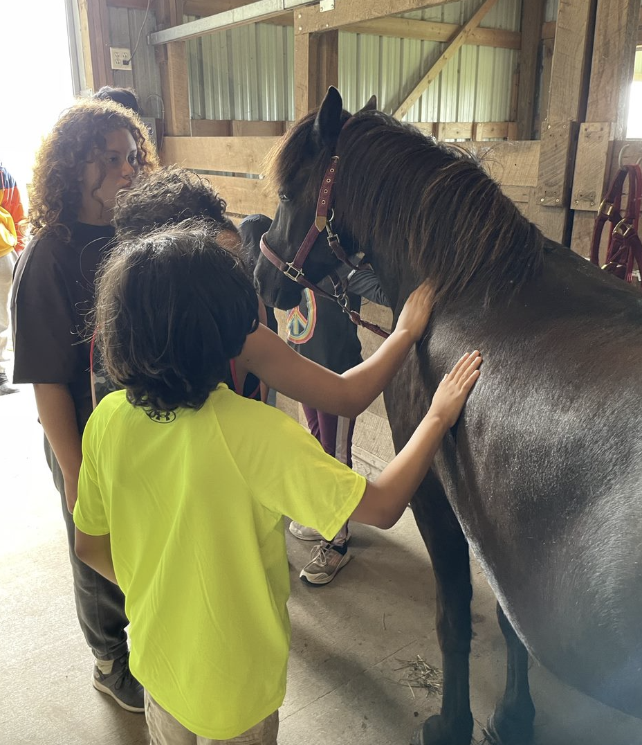 Children petting a brown horse in a barn