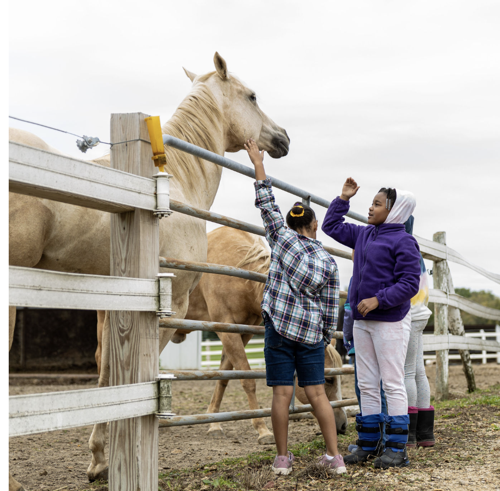 Two children petting a horse over a wooden fence on a farm.