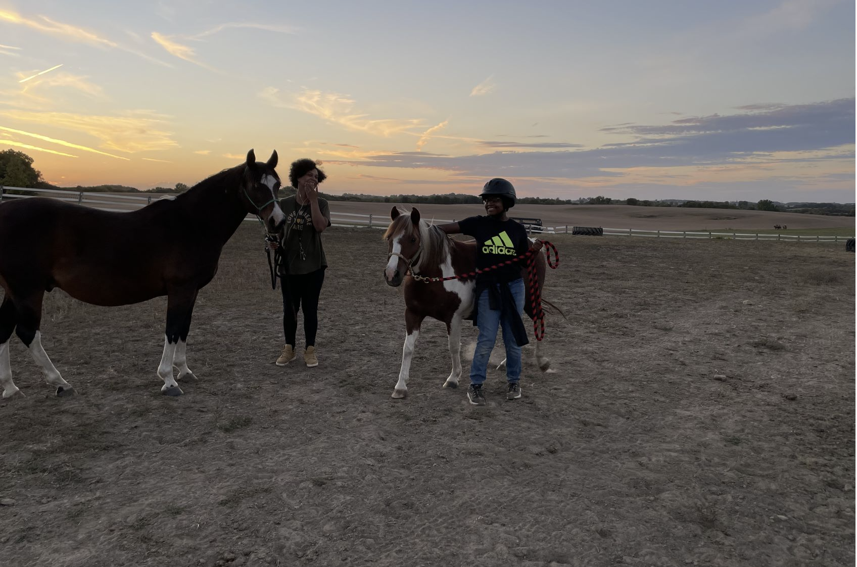 Two individuals in a field, one holding a large horse and the other holding a small horse. The scene takes place during sunset under a clear sky.