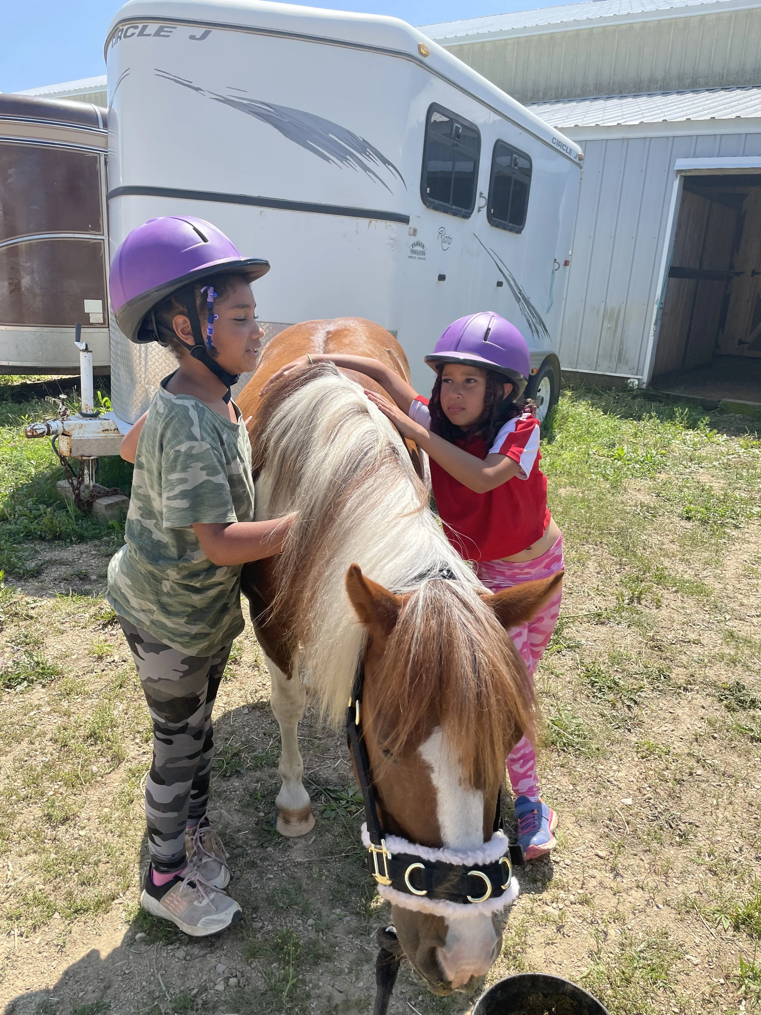 Two children wearing purple helmets petting a brown and white pony near a horse trailer on a sunny day.