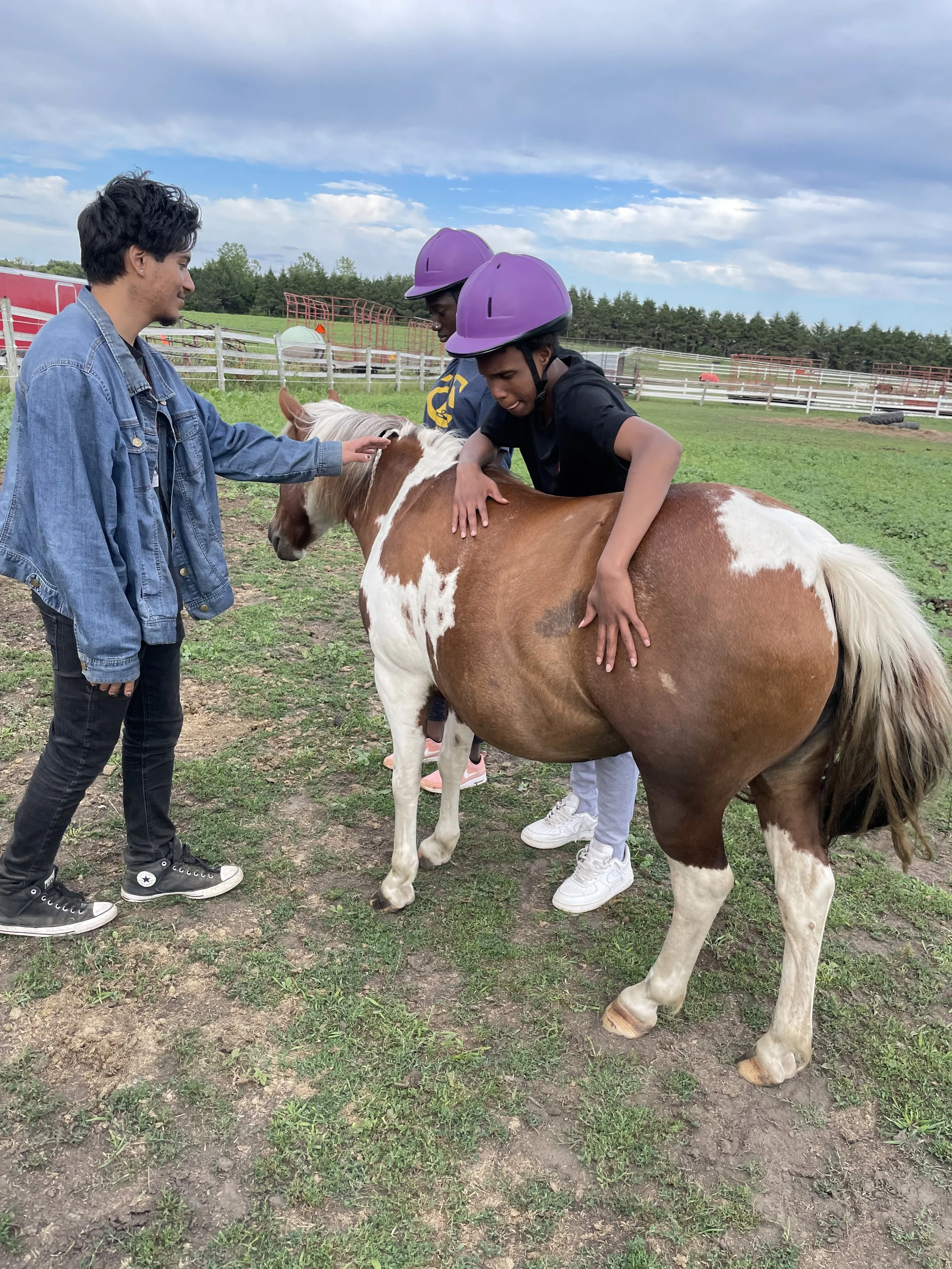 Two people wearing purple helmets are interacting with a brown and white horse in an outdoor setting. One person is leaning on the horse, while another person stands nearby touching the horse's head. The background features a fenced area and a cloudy