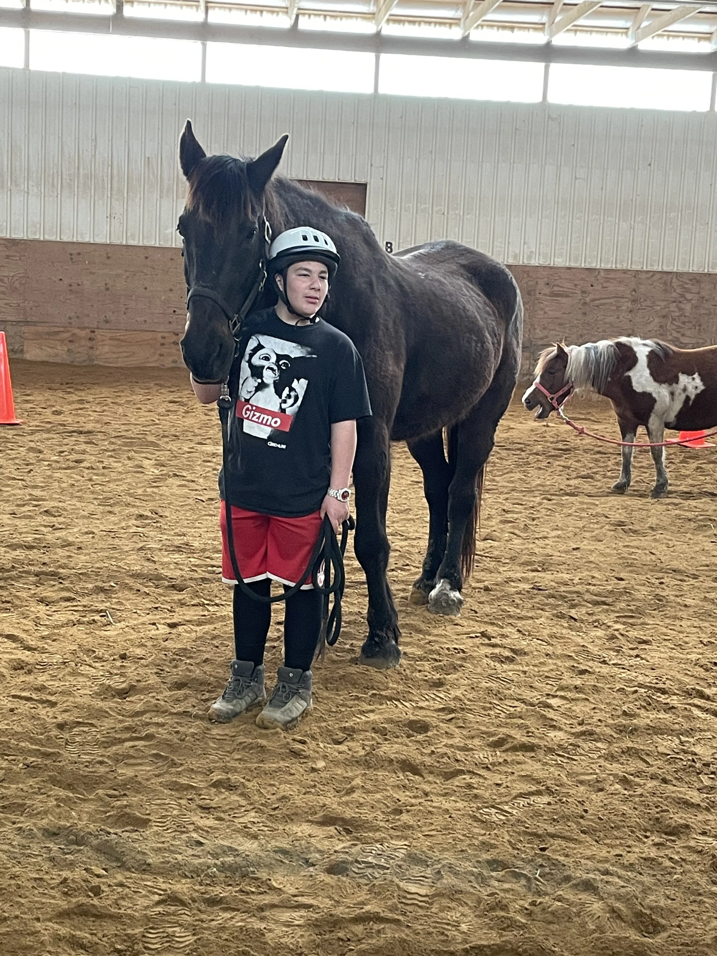 Person wearing a helmet standing next to a large horse in an indoor arena, with another horse in the background.