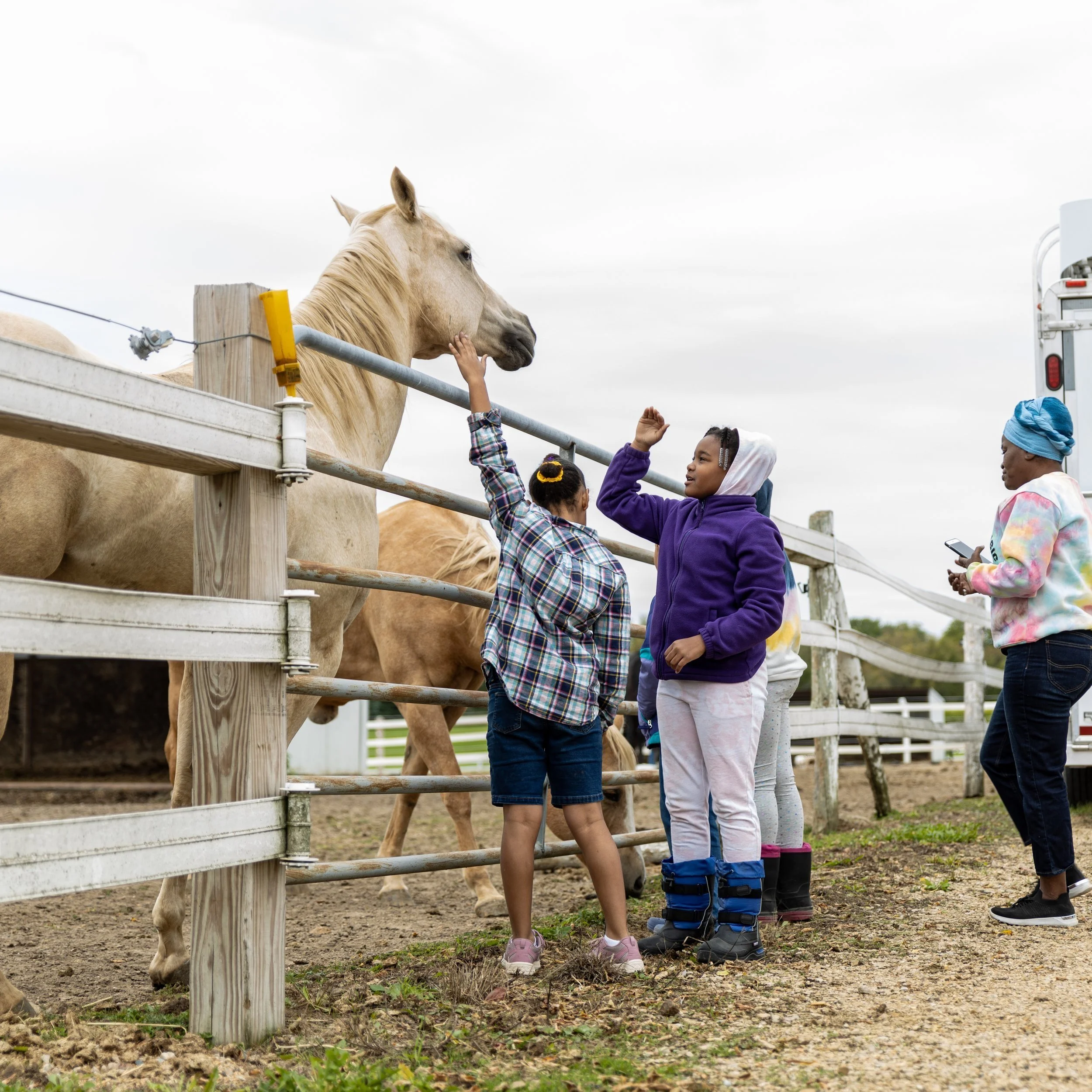 A group of people standing near a fence at a farm, interacting with a light-colored horse. The scene includes children and an adult, with one child reaching out to touch the horse.