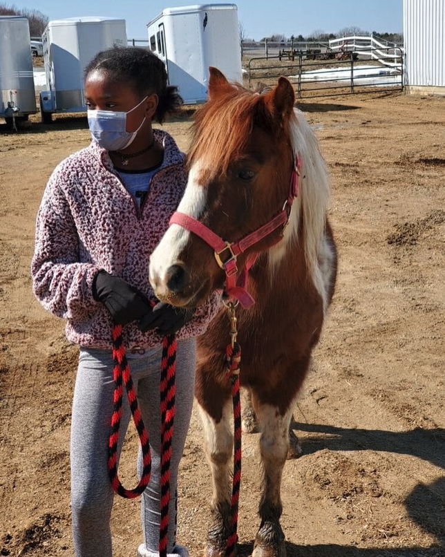 A person wearing a mask and holding a pony outside near horse trailers.