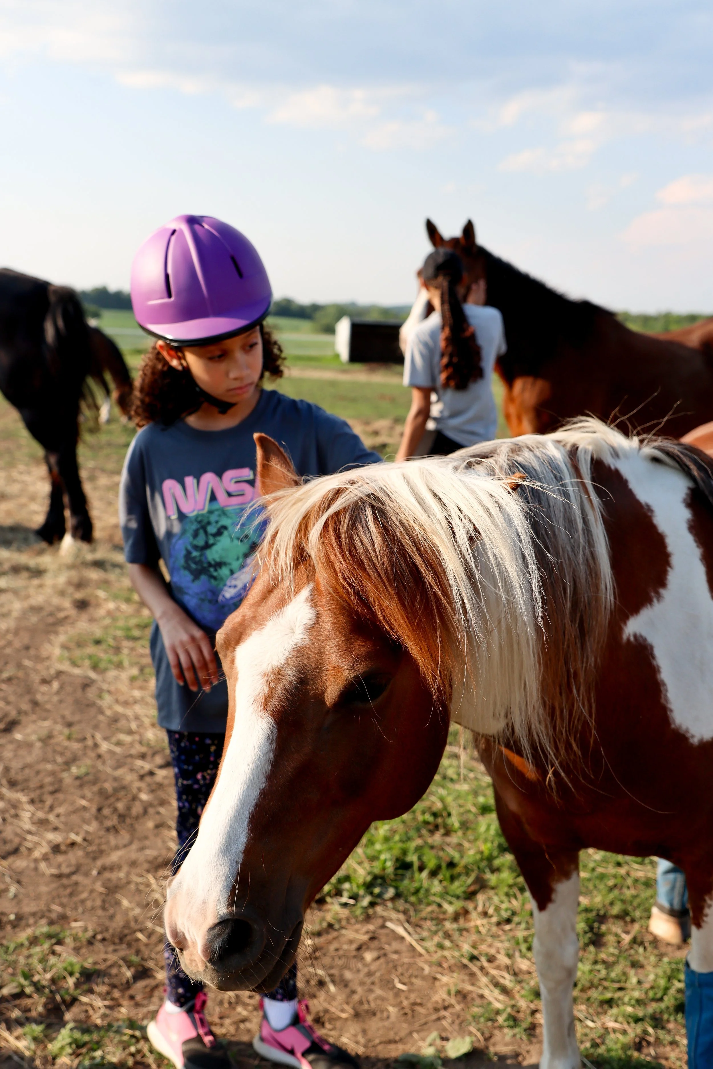A young girl wearing a purple helmet and a NASA T-shirt gently petting a brown and white horse in a rural outdoor setting with other horses in the background.
