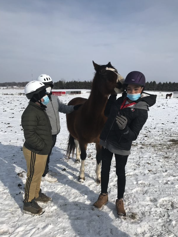 Two people wearing helmets and masks standing with a brown horse in a snowy field.