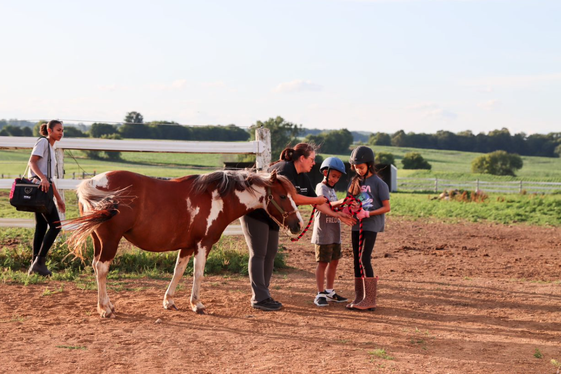 Children wearing helmets petting and feeding a brown and white pony on a sunny day at a farm.