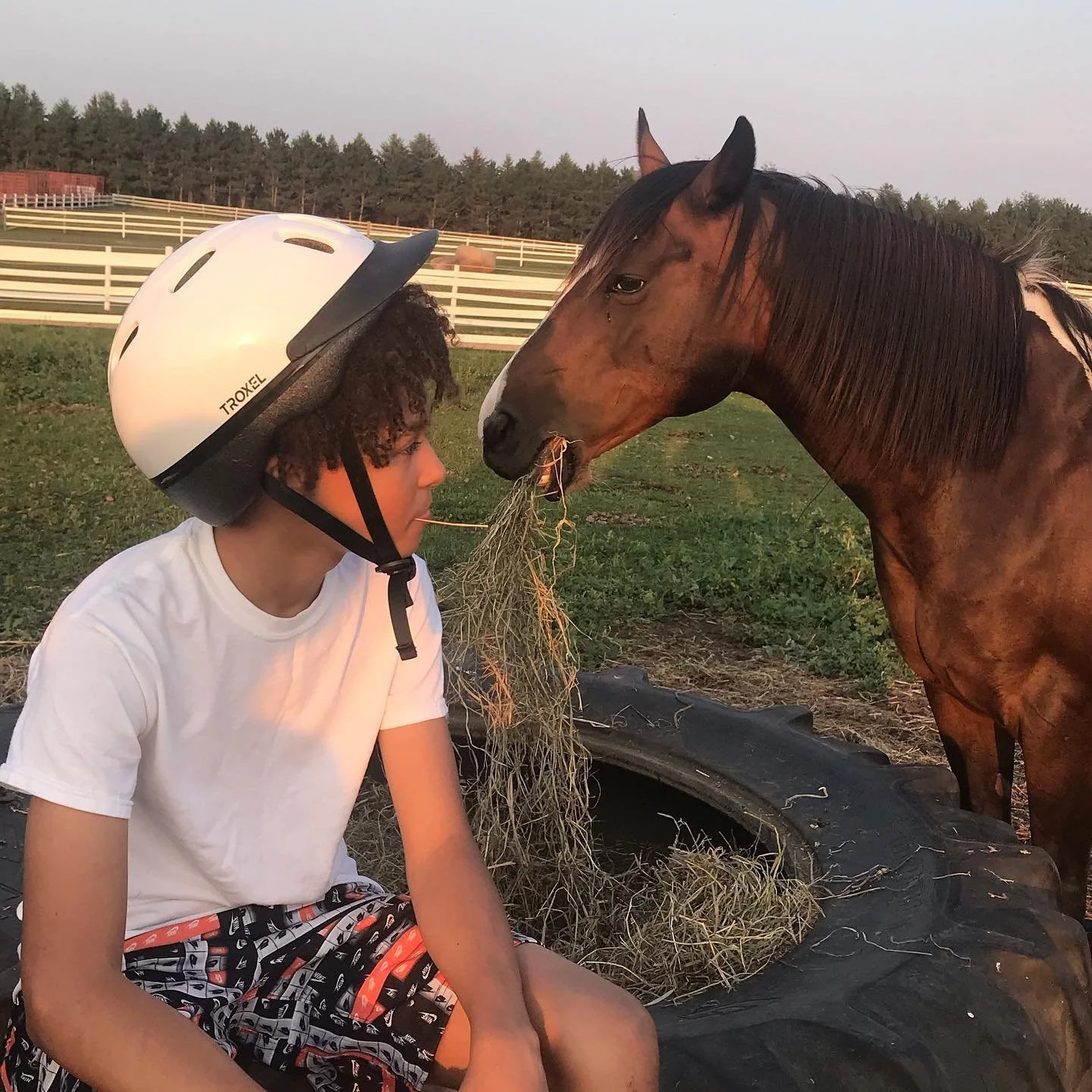 A young person wearing a helmet and a white T-shirt sits on a large tire, facing a brown horse eating hay. The scene is set outdoors near a fenced area with trees in the background.