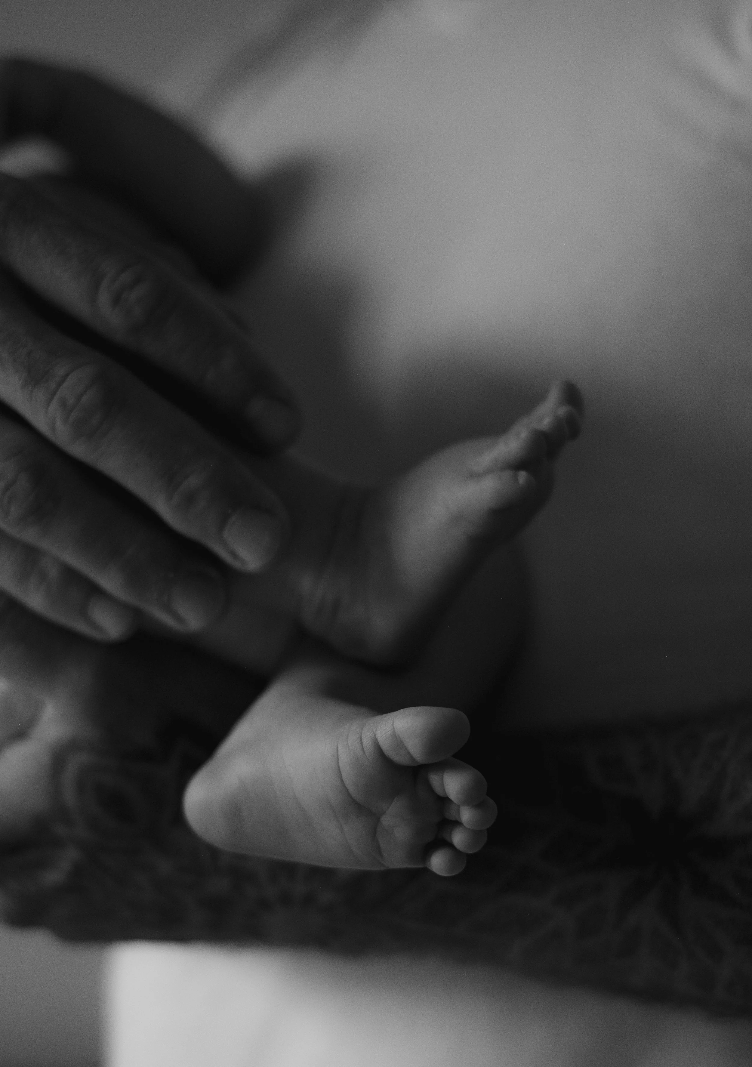 natural in home newborn sessions in Auckland and Christchurch 