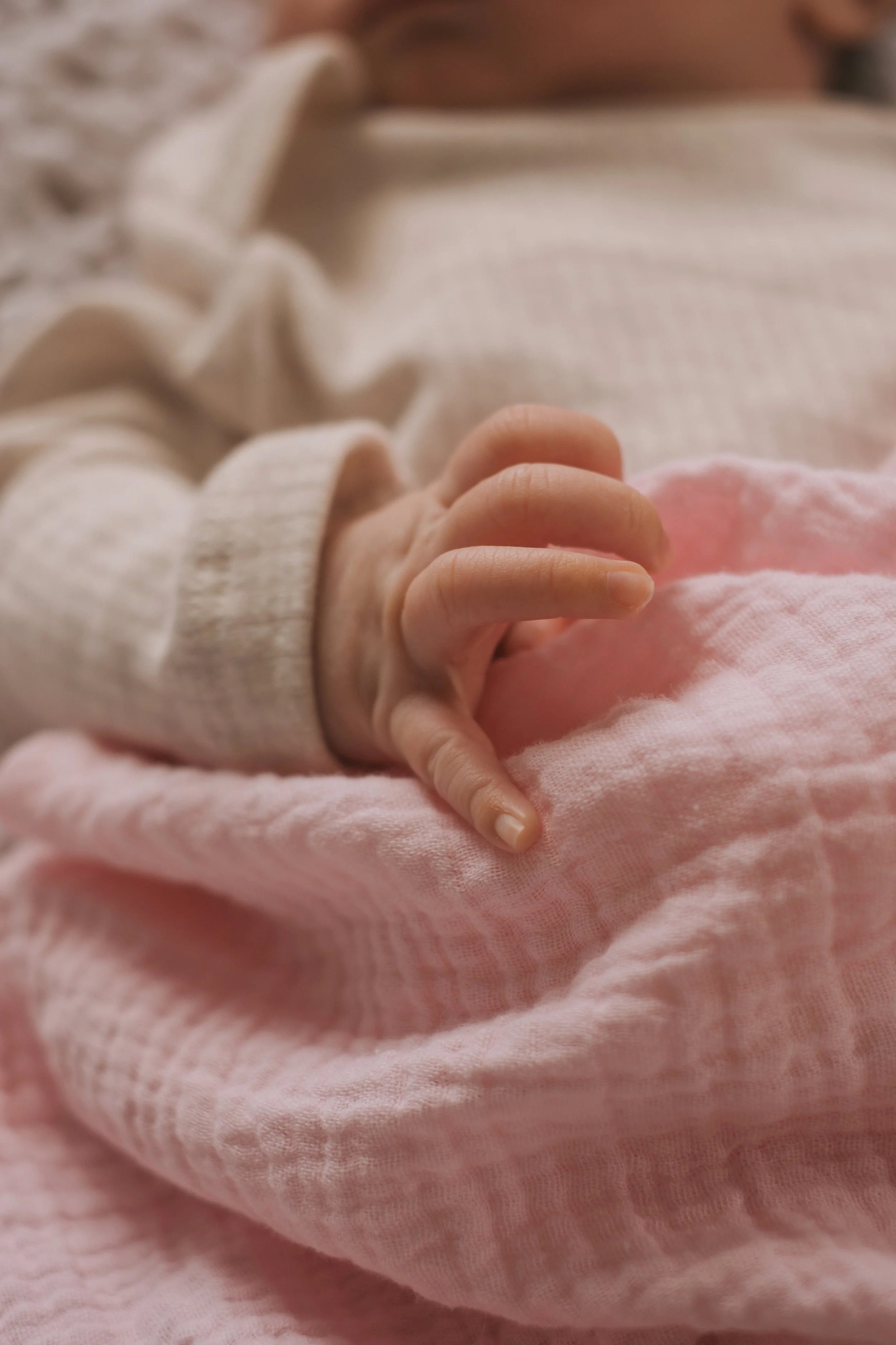 natural in home newborn sessions in Auckland and Christchurch 