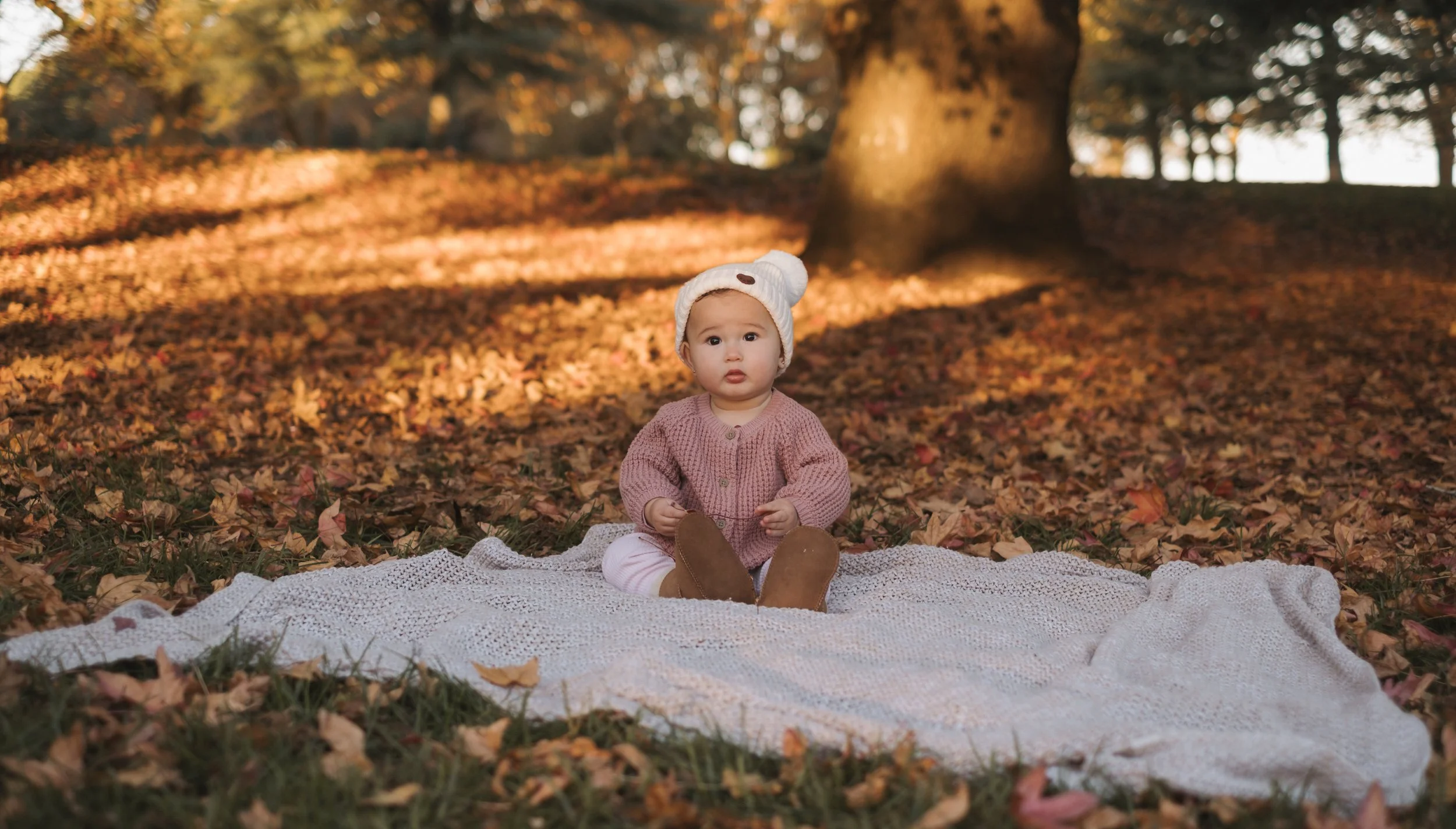 autumn baby photos in New Zealand one tree hill.jpg