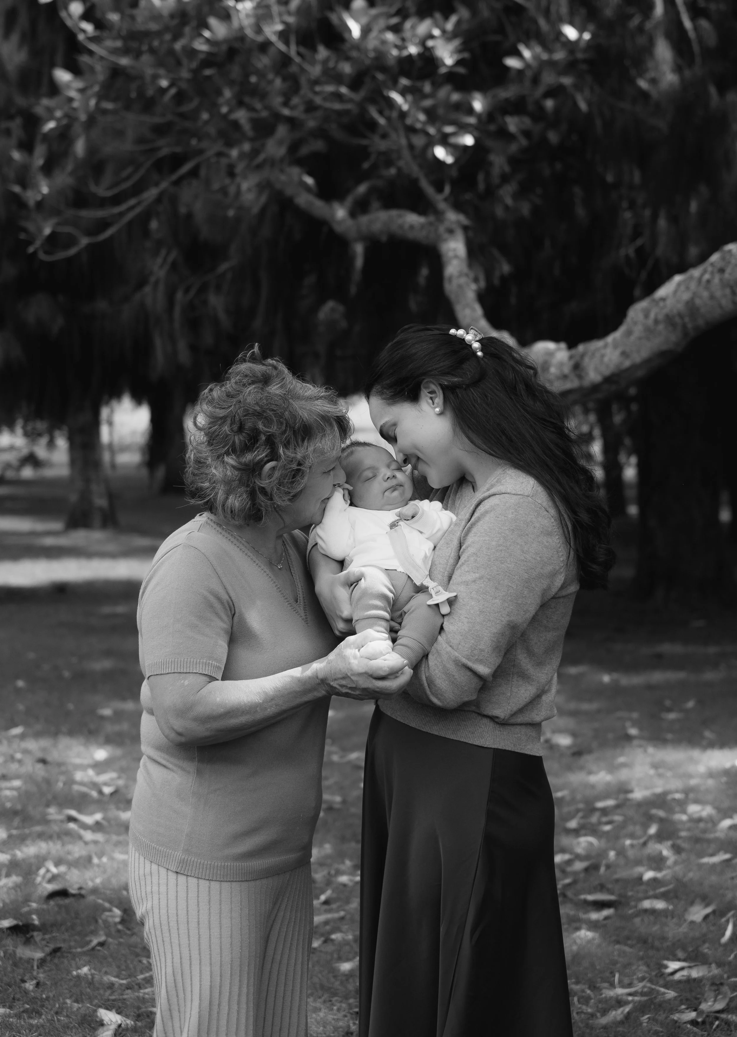 Christchurch-family-portraits-photographer.jpg