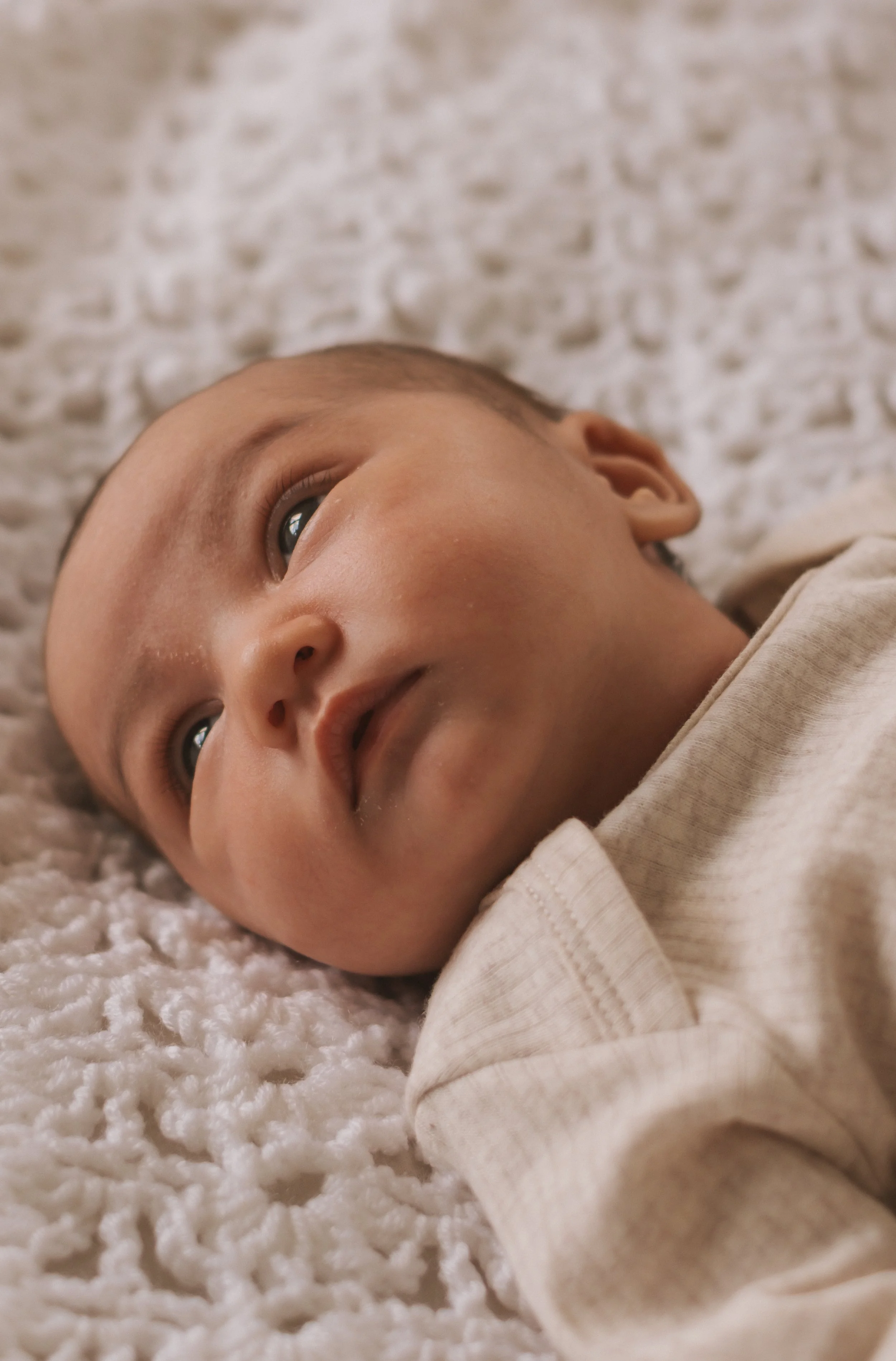 natural in home newborn sessions in Auckland and Christchurch 