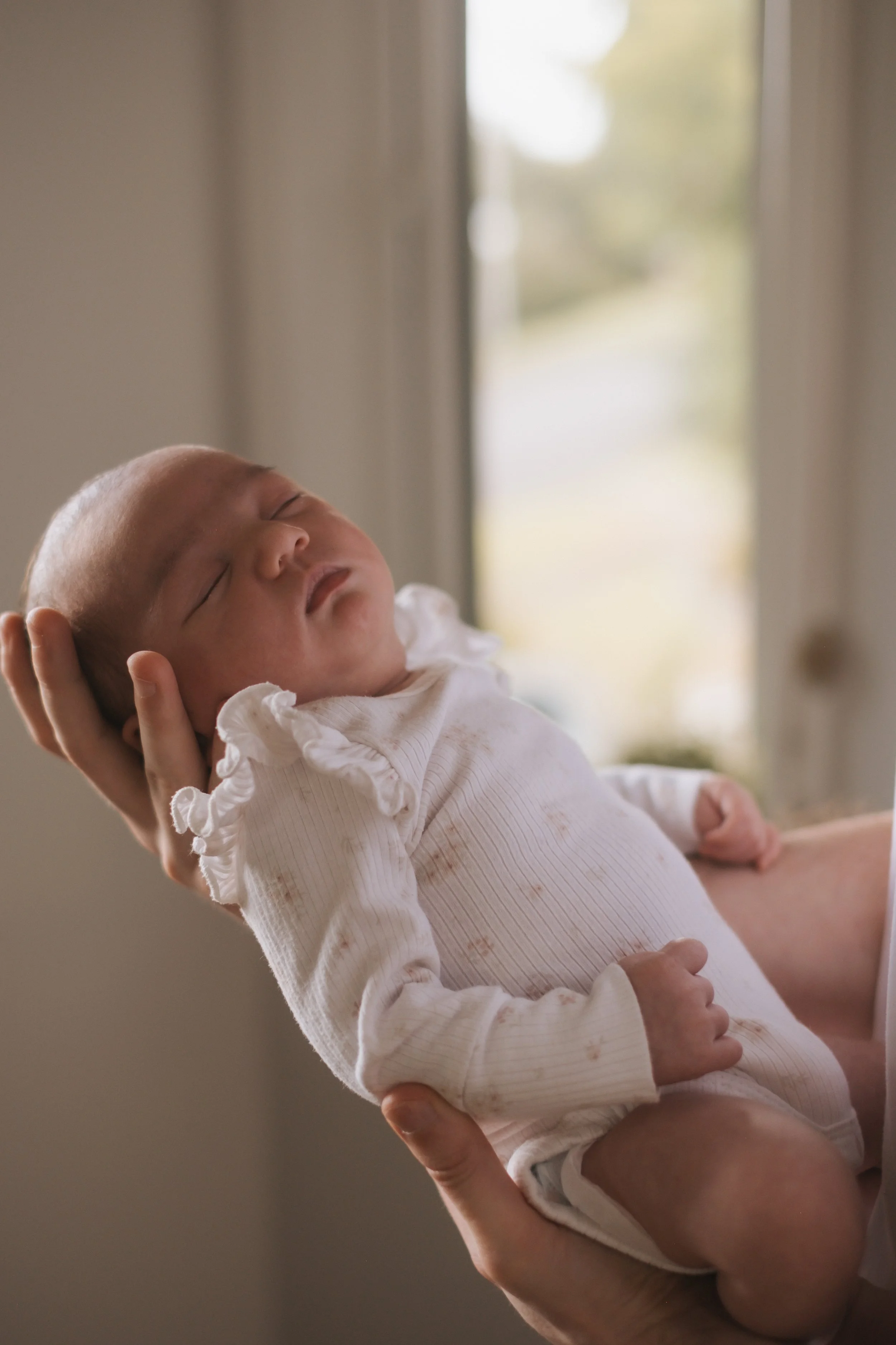 natural in home newborn sessions in Auckland and Christchurch 