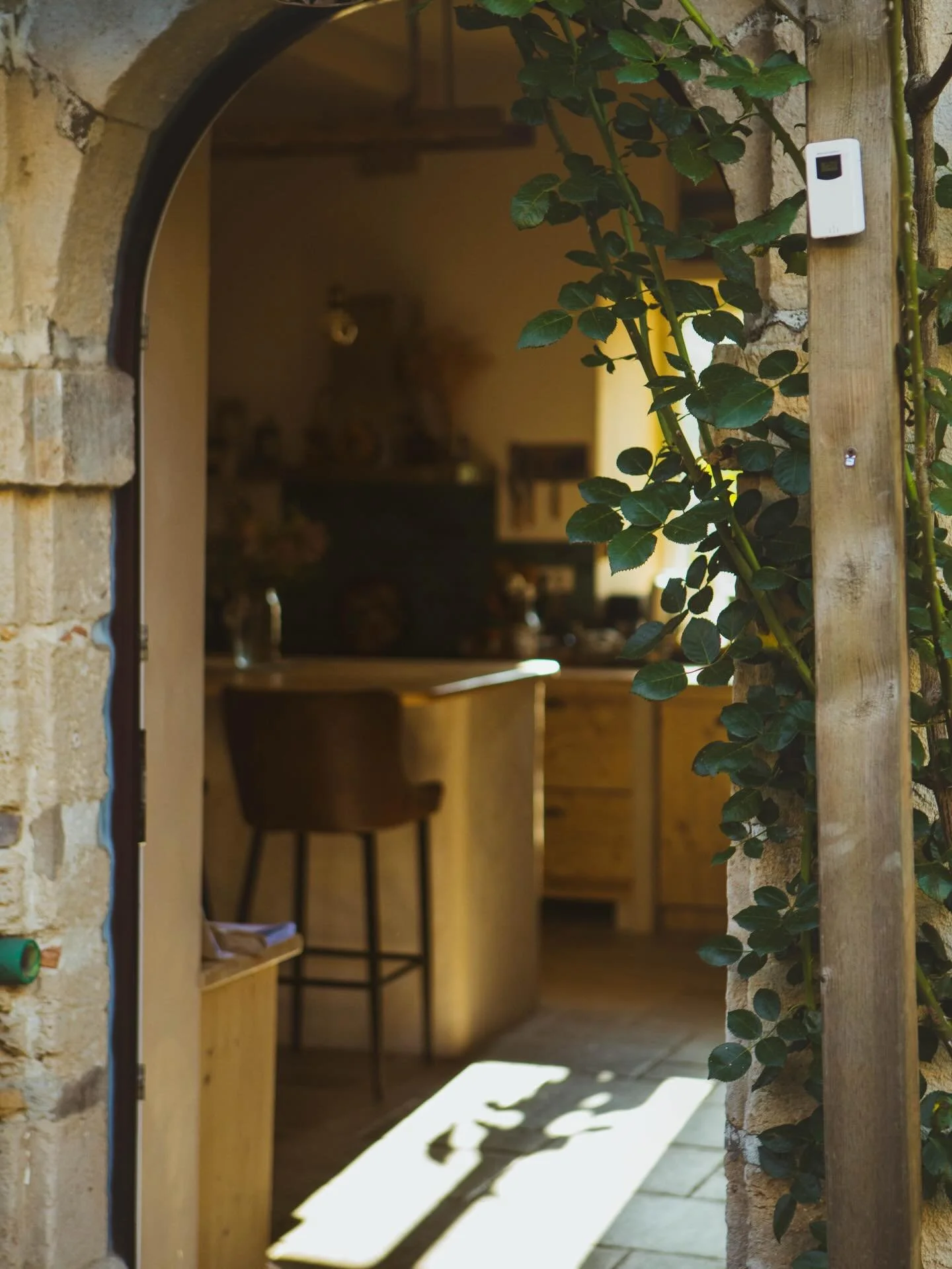 P&ecirc;le m&ecirc;le de printemps 🌻

Derni&egrave;rement, nous jonglons avec la fin des travaux de r&eacute;no de notre maison, l&rsquo;accueil de nos clients, la cr&eacute;ation d&rsquo;espaces au jardin avec notamment le lancement des l&eacute;gu