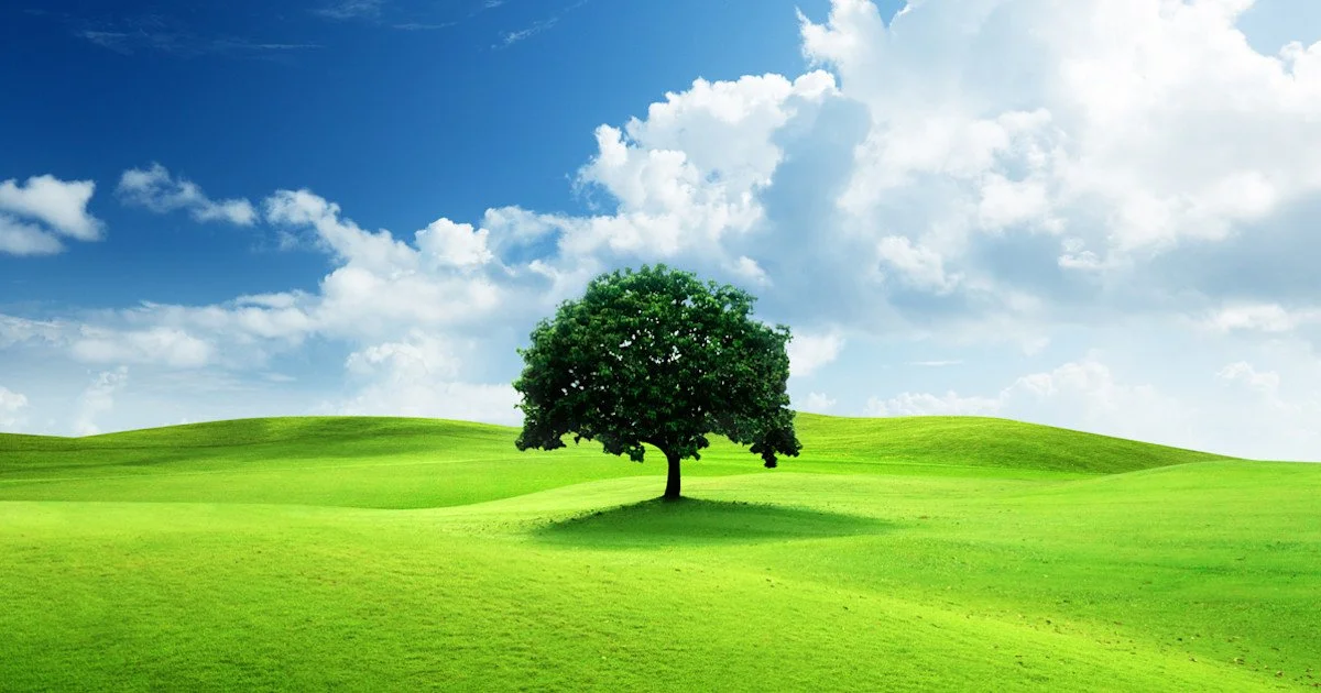 free-nature-images.jpg