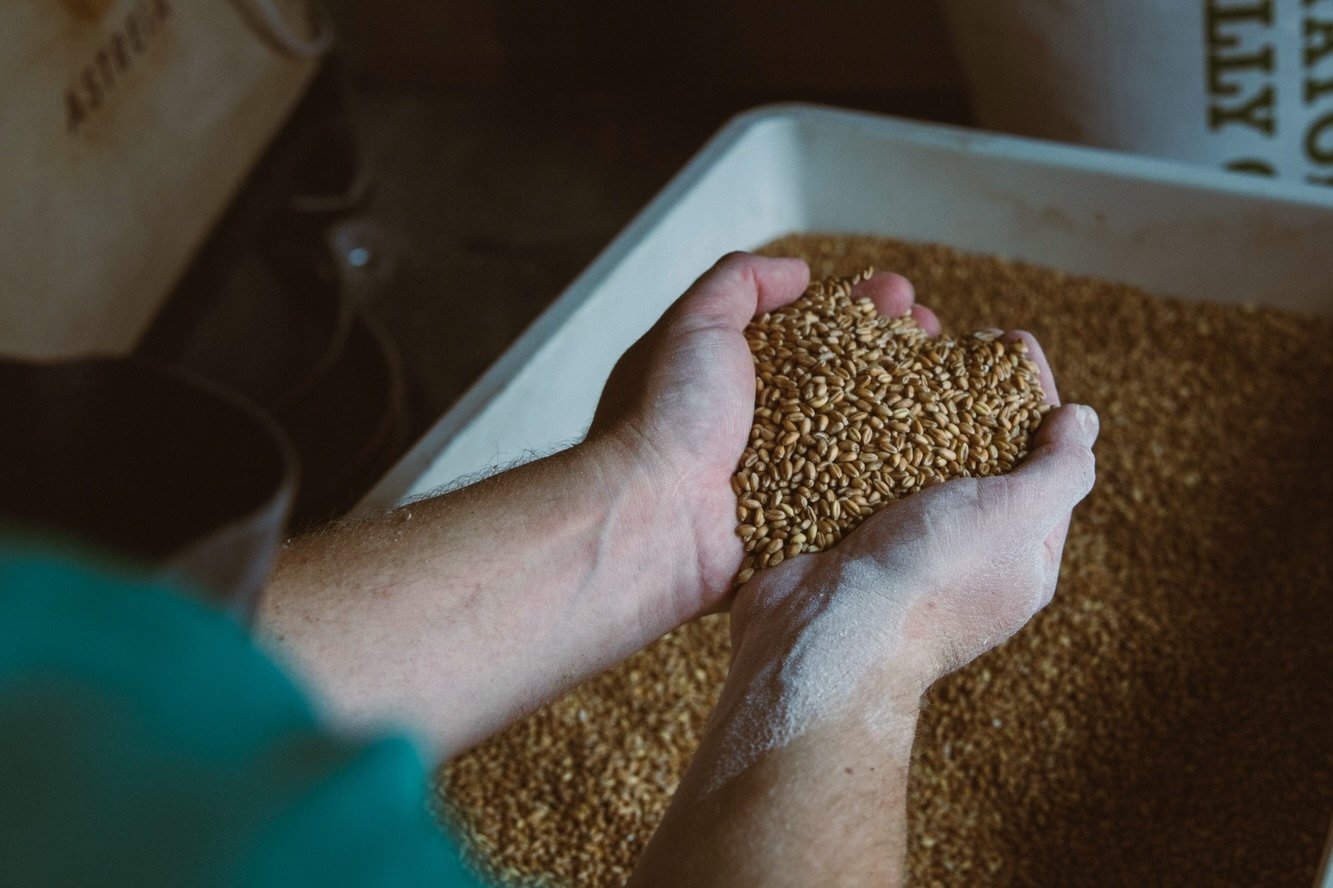 All of the flour used in our @rye_bakery bread, pastries and pizza is either organic or grown within regenerative agricultural systems. 

We are especially proud of our links to the @swgrainnetwork which has allowed us to work more closely with other