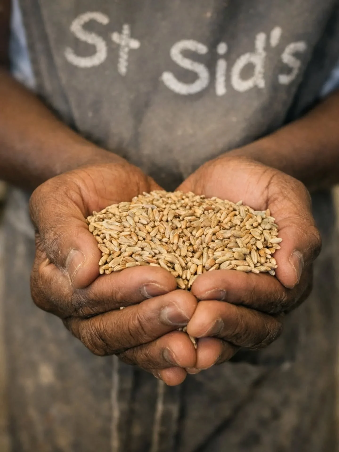 We bake with heritage and population grains every day. Einkorn, spelt, rye, barley and emmer, alongside wholemeal &Ouml;land flour in every loaf we make.

For us, this is part of what makes bread &ldquo;real&rdquo;. Real bread begins in the field, wi