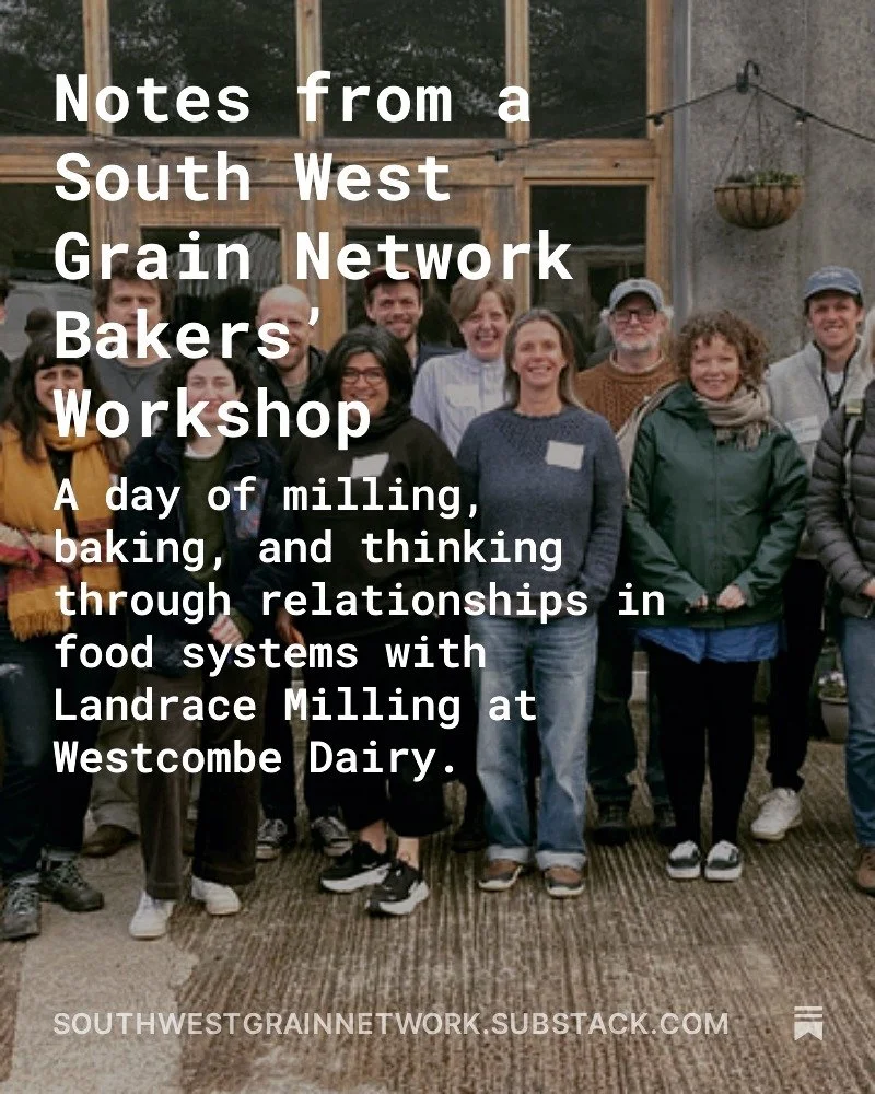 New Substack article to reflect on a day with @lukedoesbread and @landracemilling at @westcombe with the South West Grain Network.

24 bakers gathered to dive into Landrace's way of working - intuitive, embodied and relationships focussed.

We met te