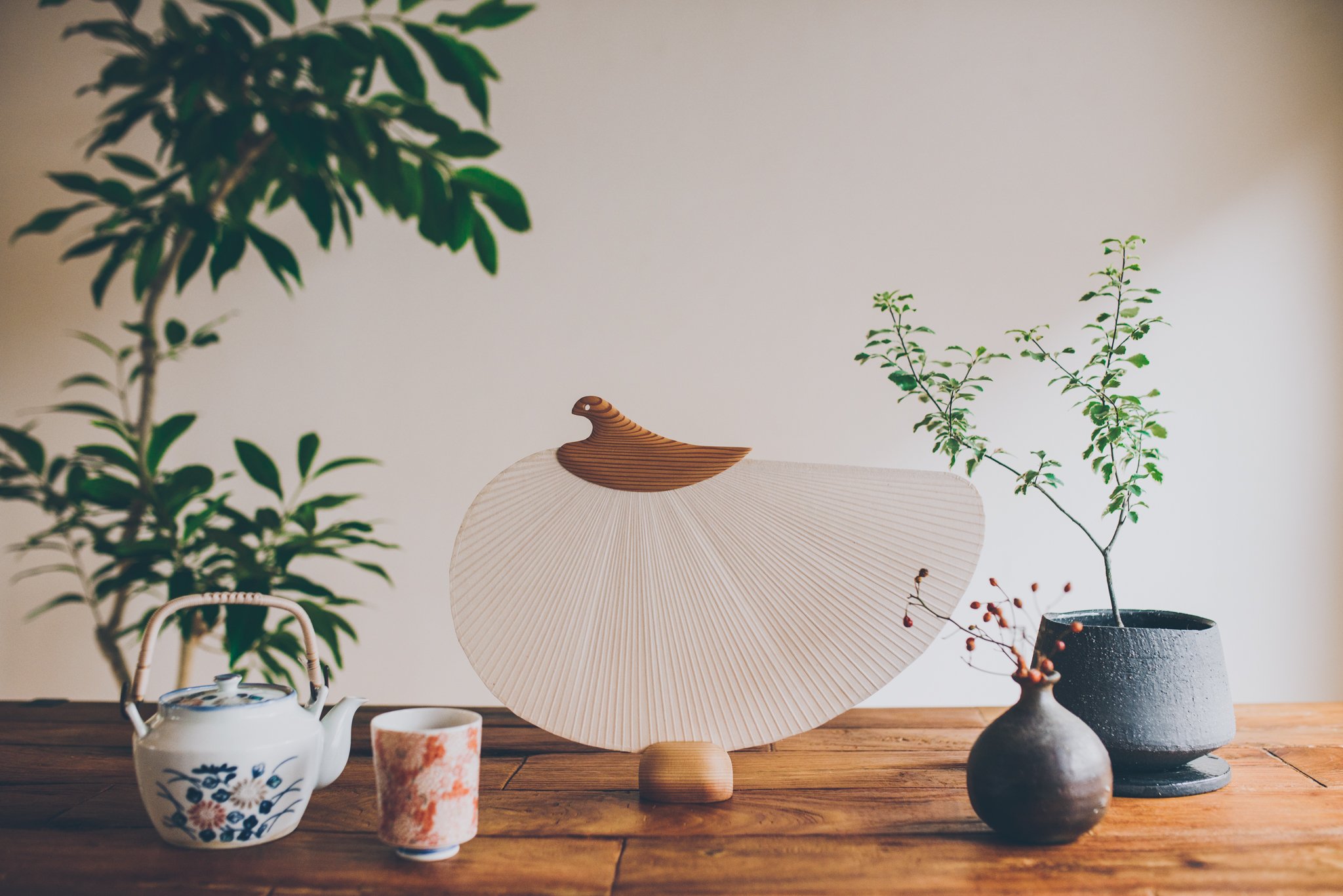 Japanese chidori uchiwa fan 