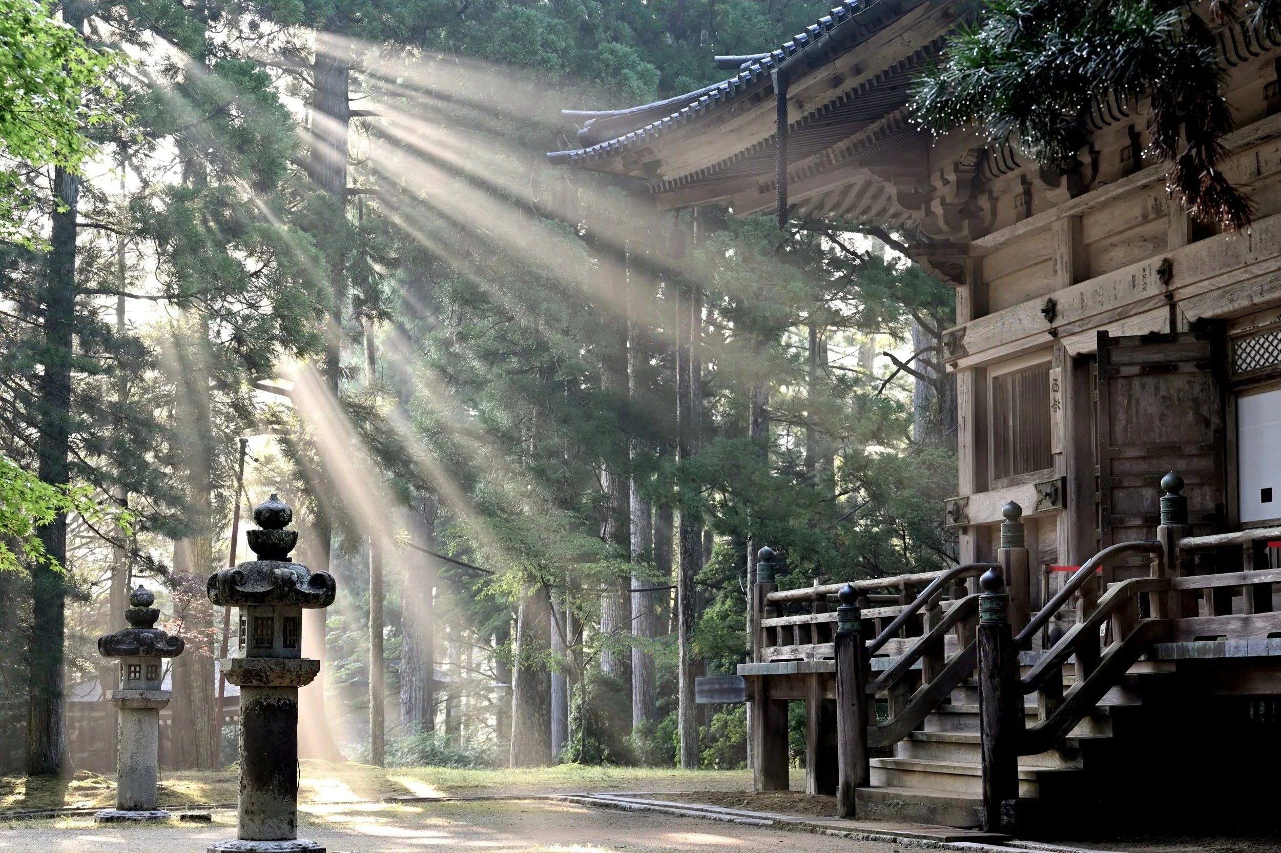 Kodawari. Sunlight rays filtering through tall green trees onto a traditional Japanese wooden building with steps and lanterns in a forest setting