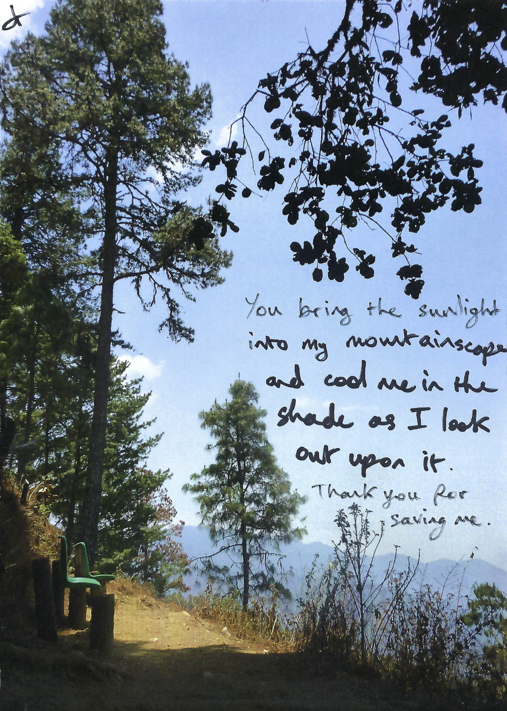 You bring the sunlight into my mountainscape and cool me in the shade as I look out upon it. Thank you for saving me.