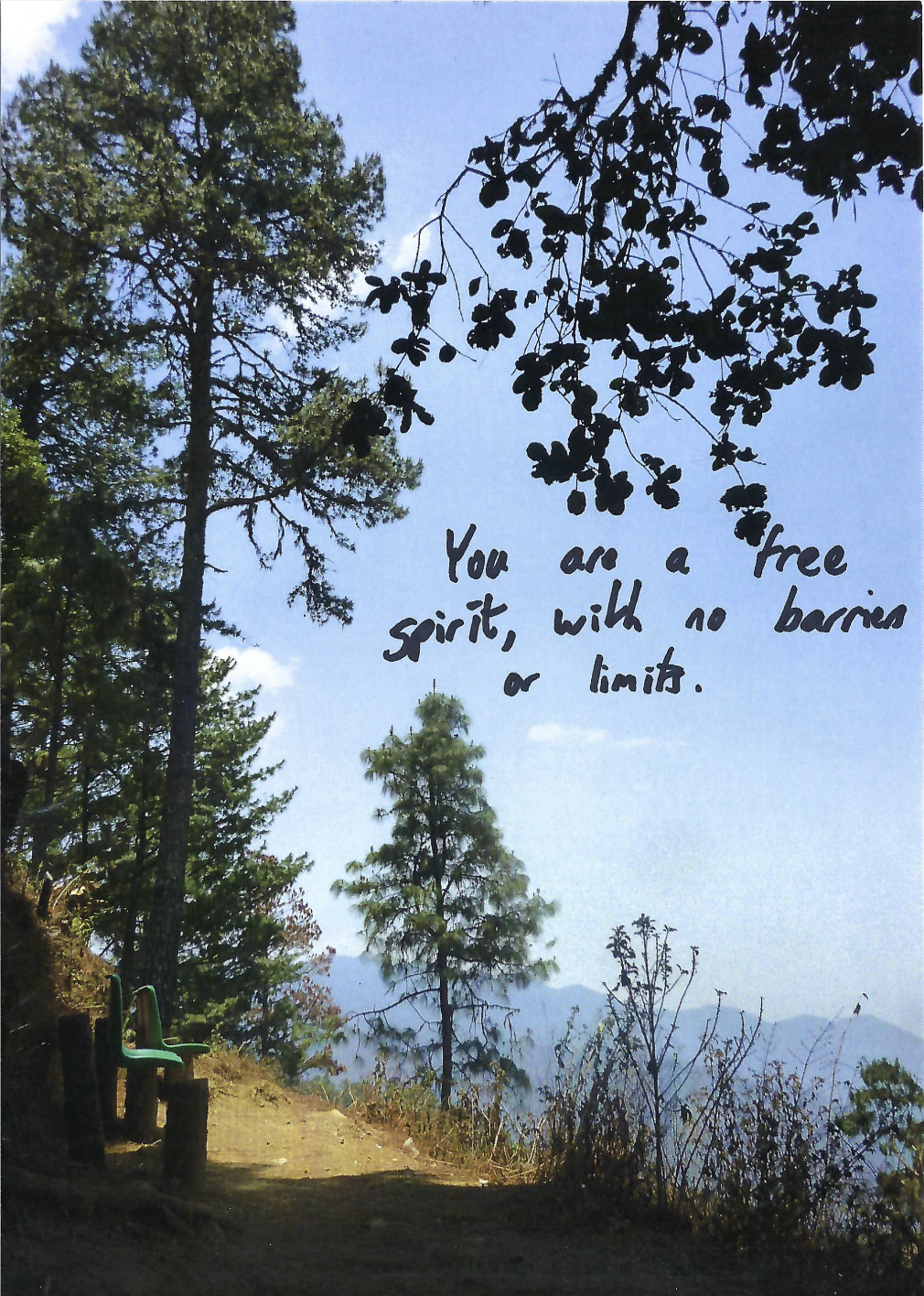 You are a free spirit, with no barriers or limits.
