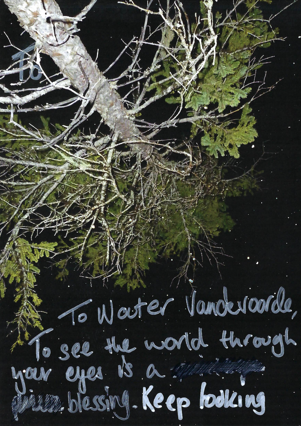 To Wouter Vandevoorde, To see the world through your eyes is a ☐☐☐☐ ☐☐☐ blessing. Keep looking