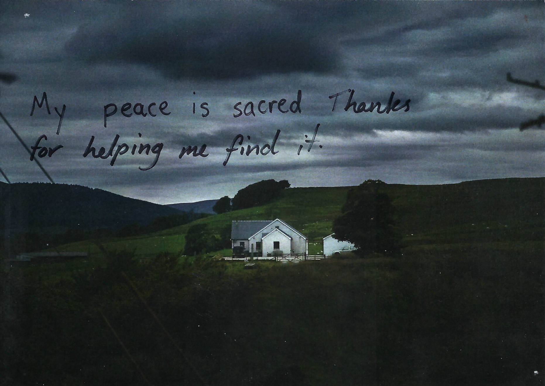 My peace is sacred. Thanks for helping me find it.