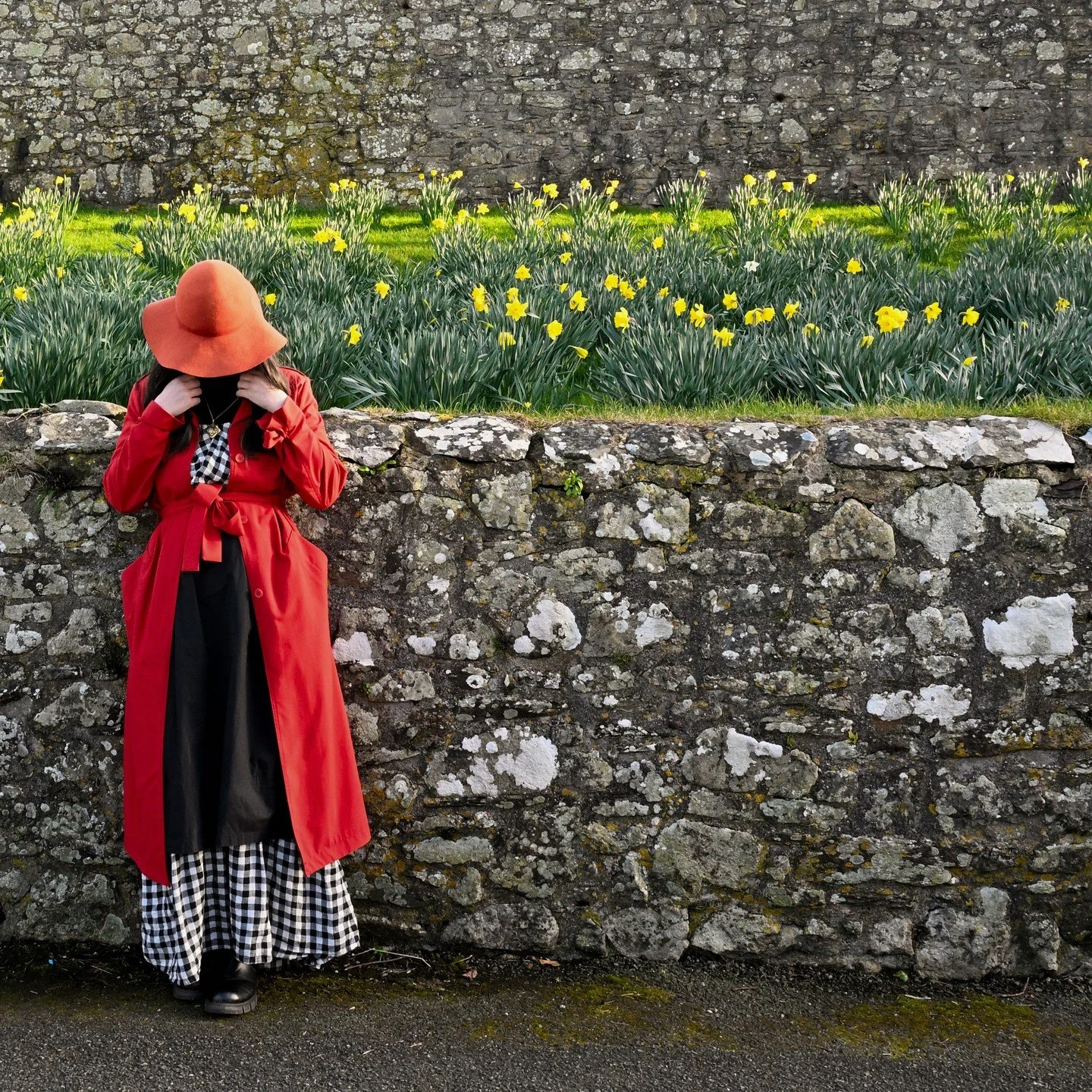 Daffodils in St Davids

#welshlady #stdavids #narcissus #pembrokeshire #welshtraditionaldress