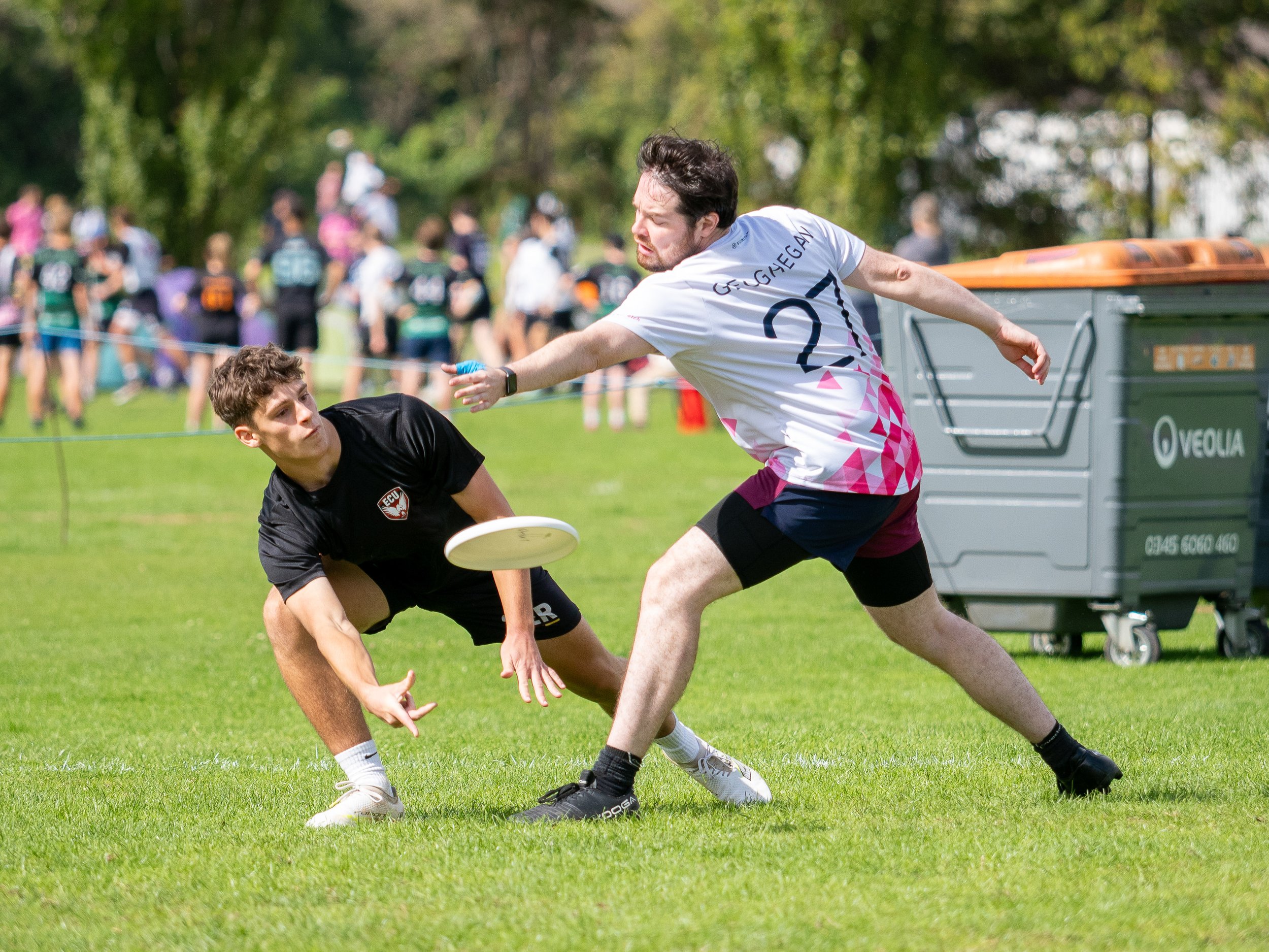 New-Frisbee-Portfolio-08.jpg
