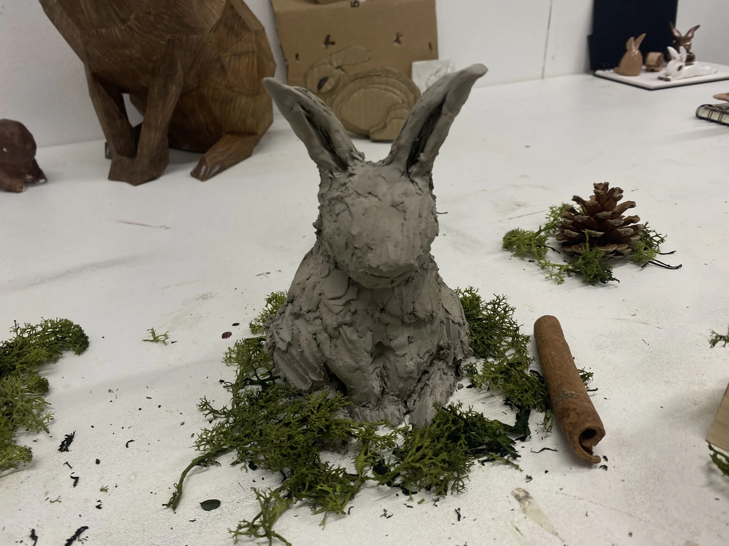 small rabbit experiments